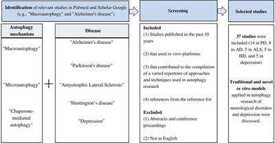 In vitro methods in autophagy research: Applications in neurodegenerative diseases and mood disorders